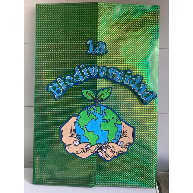 Lapbook (tareas Escolares)
