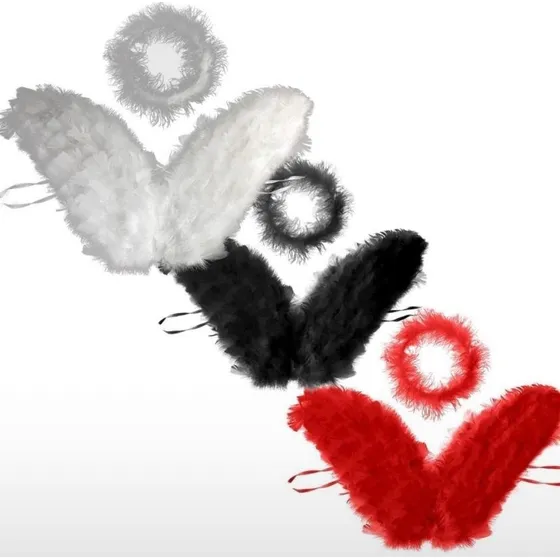 Asa De Anjo Com Aureola