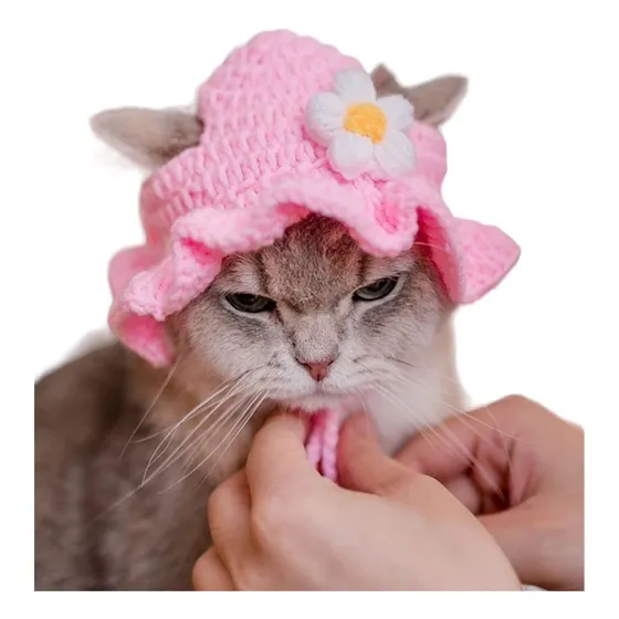 Sombrero Tejido Para Mascotas