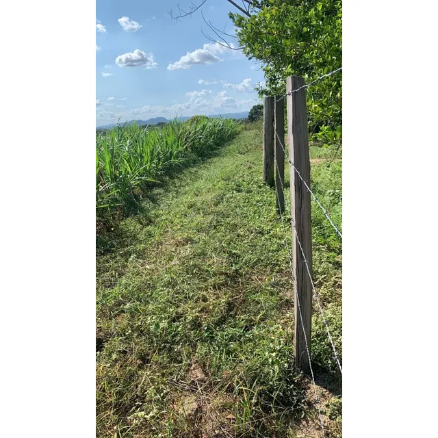 Silo Pasto De Corte Cuba22 Para Ganadería Doble Proposito