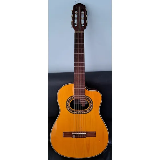 Requinto Electroacustico, Seminuevo, Sonido Claro, Profesion