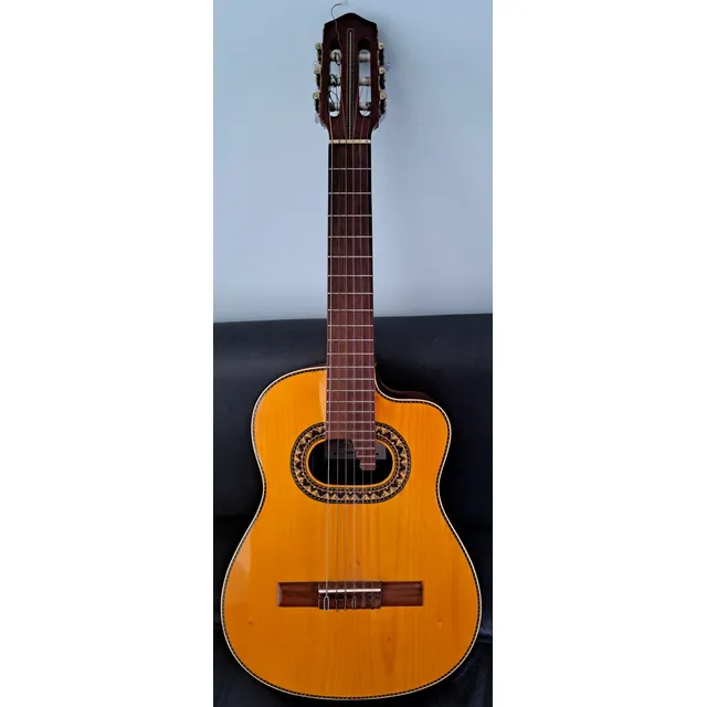Requinto Electroacustico, Seminuevo, Sonido Claro, Profesion