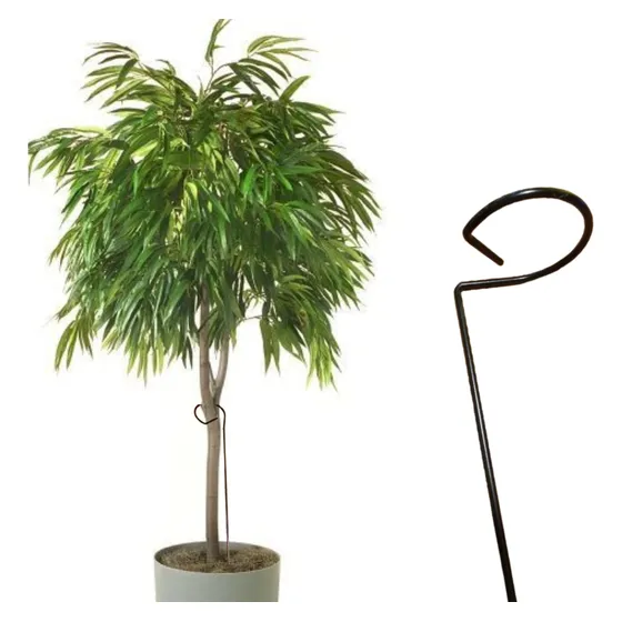 Pack 2 Tutor Arbol Plantas Grande Hierro Grueso 120 Cm Alto