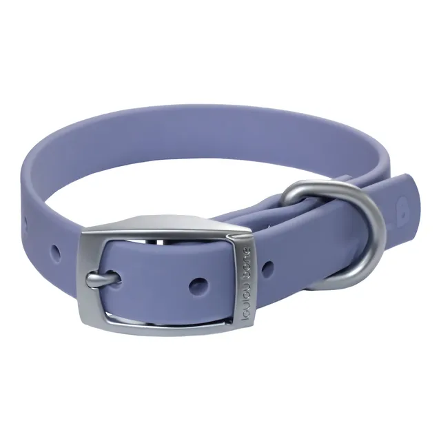 Collar Para Perros Silicona Loulou Bone Tallas Xs Hasta L