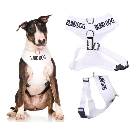 Perro Ciego (el Perro Tiene Vista) Codificado Por Colores En