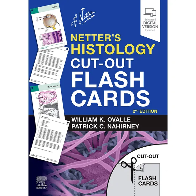 Tarjetas Didácticas Recortadas De Histología De Netter: Un C