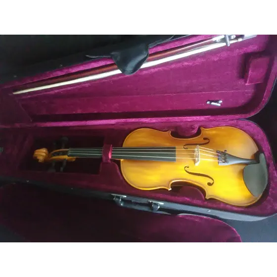 Viola. 16 