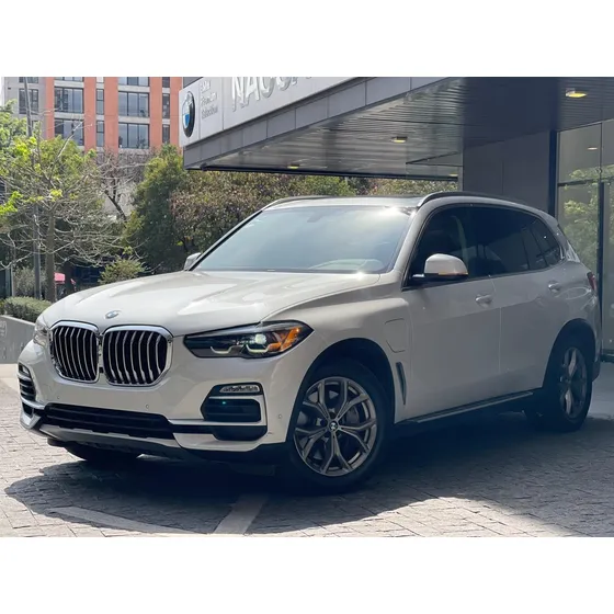 Bmw X5 3.0 Xdrive 45e Hibrido At