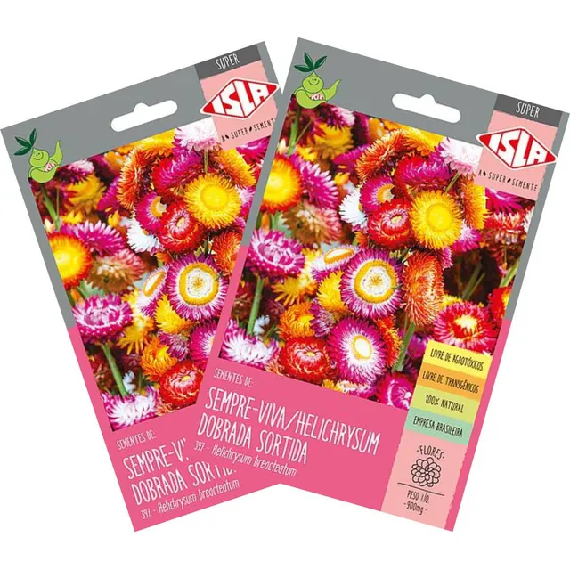 2x Sementes De Helichrysum Sempre-viva (sortida) Super Isla
