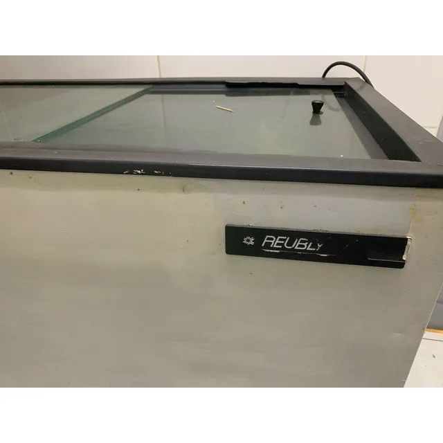 Freezer Horizontal Reubly 500l