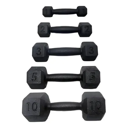 Kit Halteres 21kg, Leve A Resistência Do Ferro Fundido.1 Und
