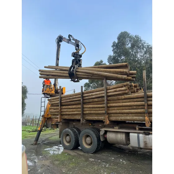 Polines Impregnados 3 A 4 X 2.44 Metros