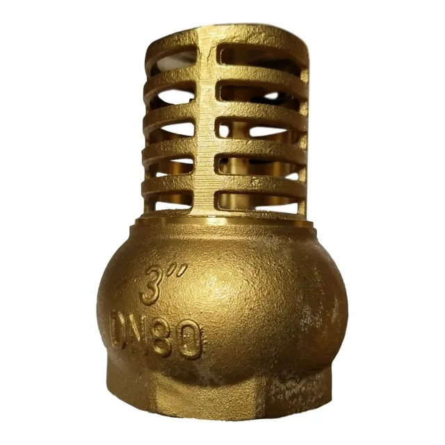 Valvula De Pie Check 3 Pulgadas Canastilla Bronce