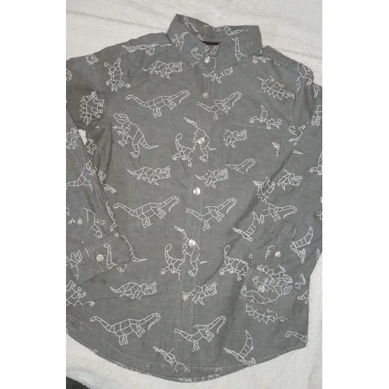 Camisa