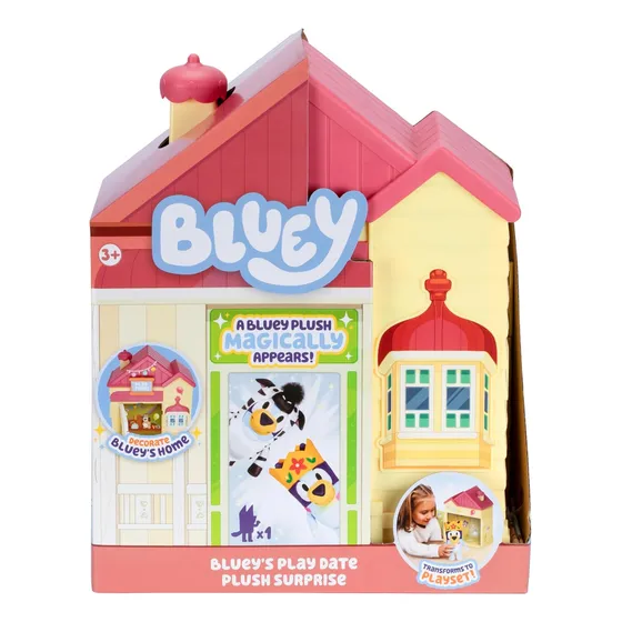 Casa Bluey Cita Sorpresa