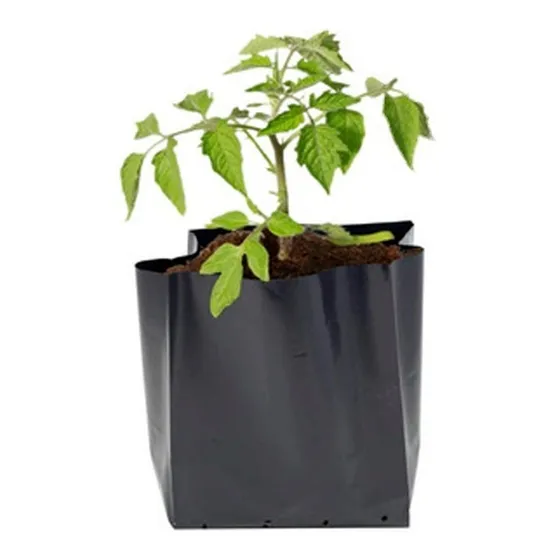 Bolsa Para Vivero Negra 1/2 Kg 14x15 Cm 