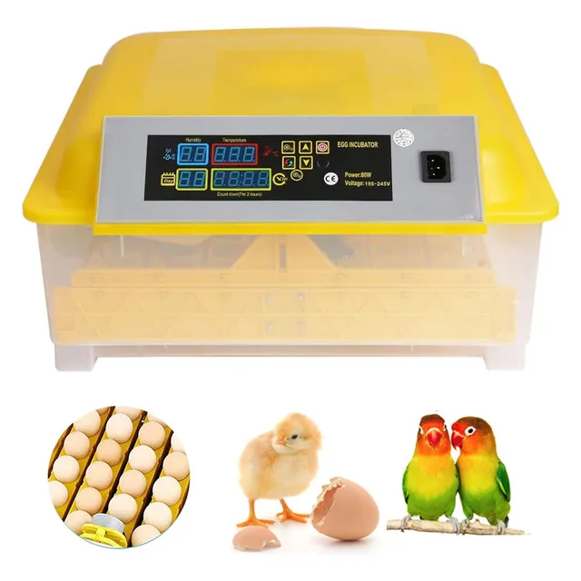 Incubadora Huevos Pollos 48 Puestos Giro Automatico