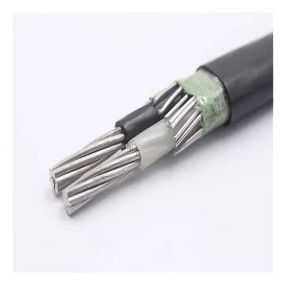 Conductor Concentrico 2x8 + 1x10