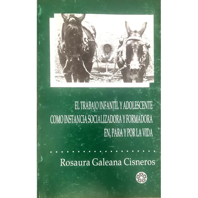 El Trabajo Infantil Y Adolescente Como Instancia, Rosaura