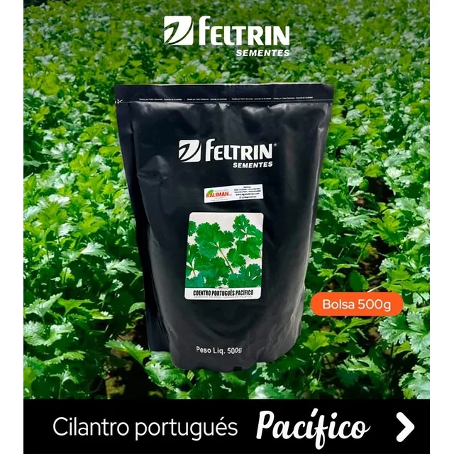 Semilla De Cilantro 500 Gramos.