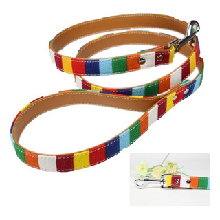 Conjunto De Correa De Cuero Con Correa De Cuero Con Diseño D Conjunto De Correa De Cuero Con Correa De Cuero Con Diseño D