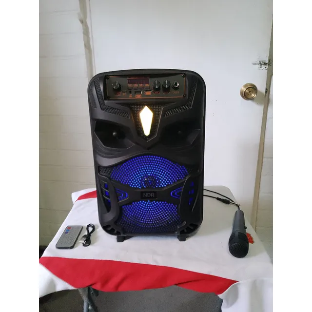 Parlante Y Radio Fm Wireeless Speaker Ndr-p55 32gb