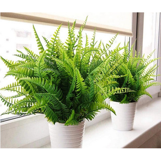 . 2 Helechos Artificial Planta Verde Decoracion Hogar . 2 Helechos Artificial Planta Verde Decoracion Hogar