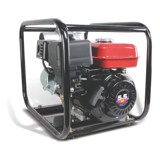 Motobomba Para Agua 2/ 5.5 Hp