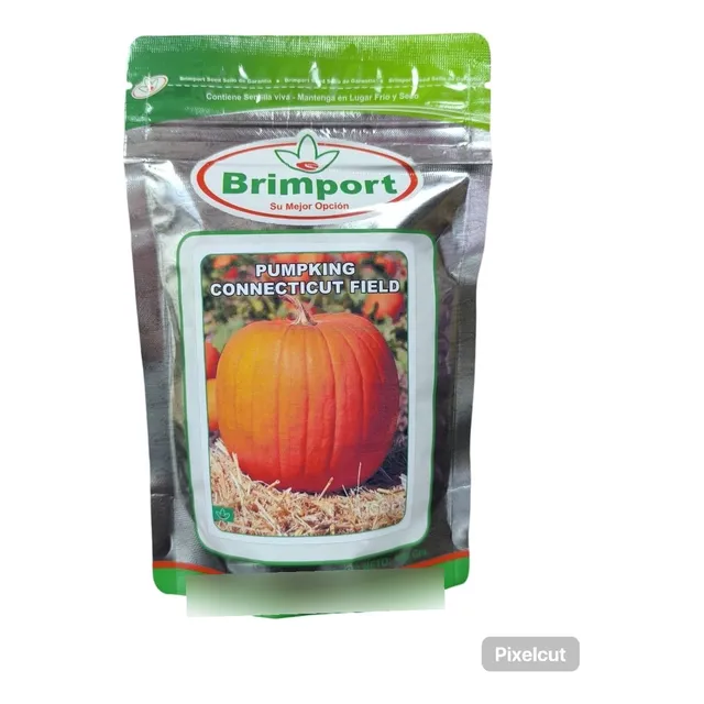 Semillas De Auyama Calabaza Marca Brimport 100 Grs