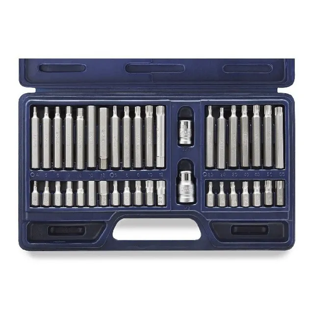 Juego De Puntas Torx/alien/multiestria X 40pzs Bremen 2978