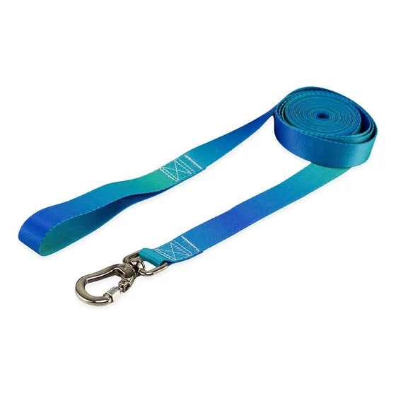 Coleira Guia Longa 10 Metros Para Cães Cachorro Basic Pet cor Lake Tamanho Grande Adestramento Passeio