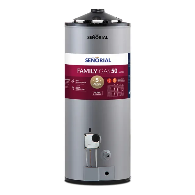 Termotanque Señorial TSZP-50 Gas Alta Recuperacion Family 50 Litros Color Gris plata