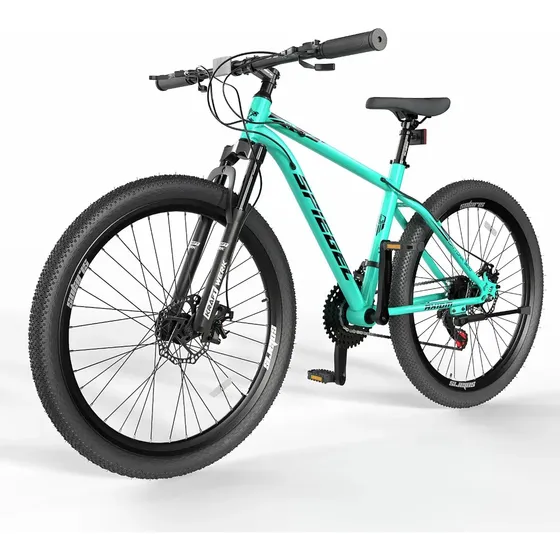 Bicicleta Spiegel Aro 29 Daytona 300 Beach Green Turquesa M