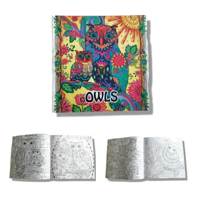 Libro Para Colorear 12 Hojas 24 Dibujos Mandalas Búho Regalo