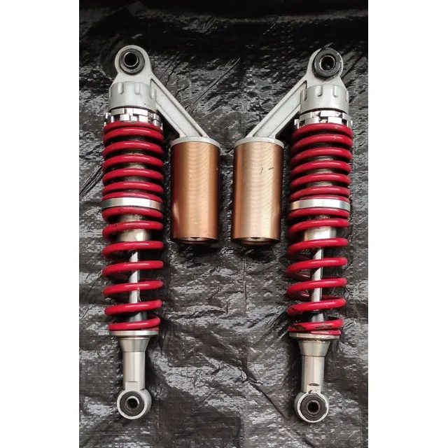 Amortiguadores Traseros De Rkv 200 Usados 