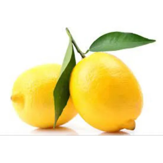 Limonero Génova Inj. 4 Est. Premium - Envíos - Hab.senasa