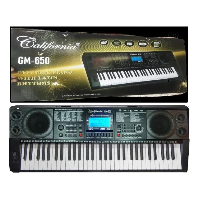 Organo Electrónico Midi Usb Teclas Pesada Tipo Piano