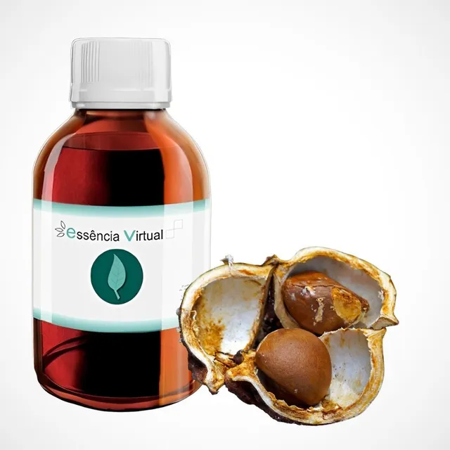 Essência Concentrada Hidrossolúvel Essência Virtual 100ml