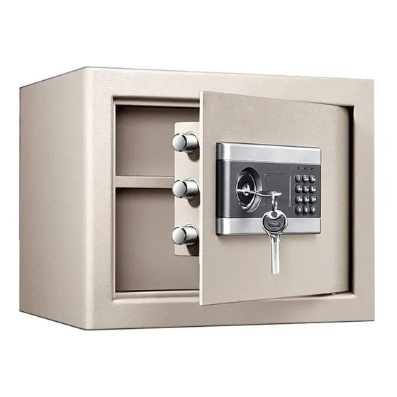 Estuche Seguridad Fuerte Electronica 11.8 In Para Casa