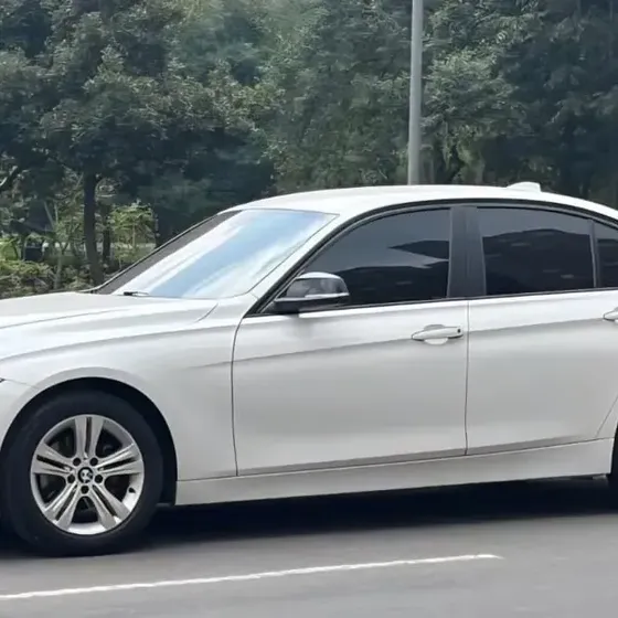 BMW Serie 3 2013 1.6 316i F30 Standard