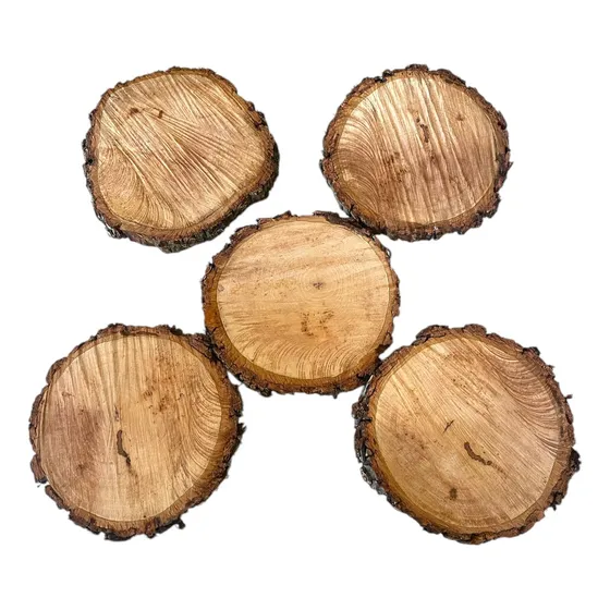 5 Bolachas Tronco Arvore 20 Cm Decoração Madeira Rustica Kit