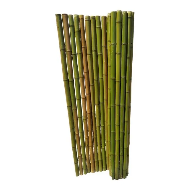 Cerco De Caña Tacuara - Pergola-cerco-panel De Caña Bambu