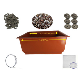Kit Trasplante Maceta Median Bonsái Plástico Terra Sustrato Kit Trasplante Maceta Median Bonsái Plástico Terra Sustrato