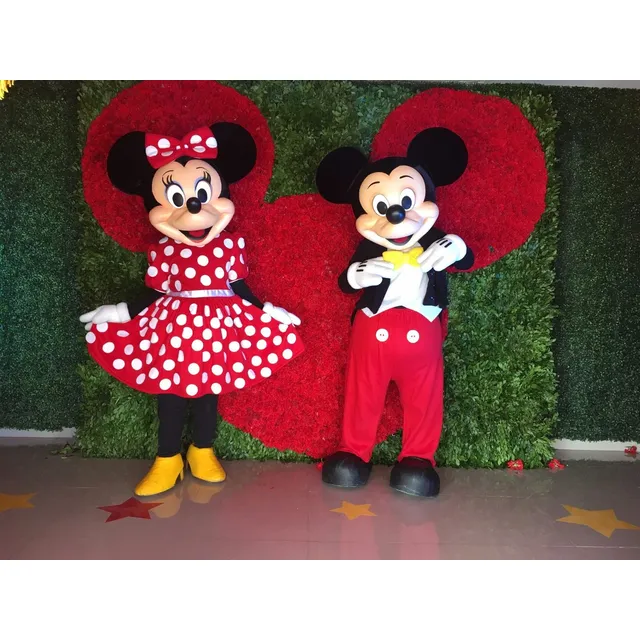 Renta De Botargas: Mickey, Minnie, Paw Patrol, Toy Story