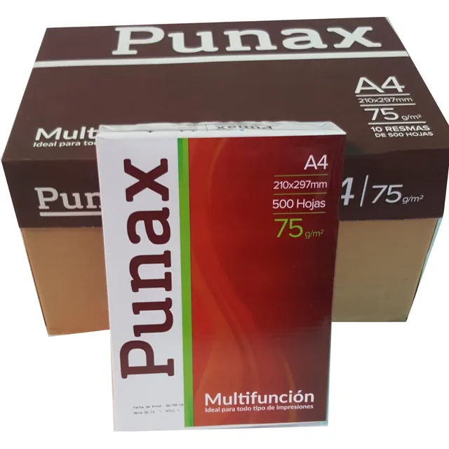 5 Resmas A4 75 Grs Ledesma Punax Papelera Grafipel