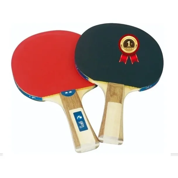 Raquetas Ping Pong 2 Paletas + 3 Pelotas Oferta Nuevo Ecom