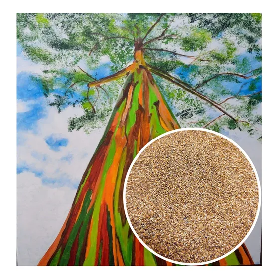 1.000 Sementes De Eucalipto Arco Iris Garantia D Germinação 