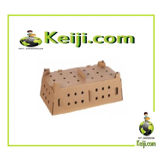 Cajas O Transportadora De Carton Para Pollito