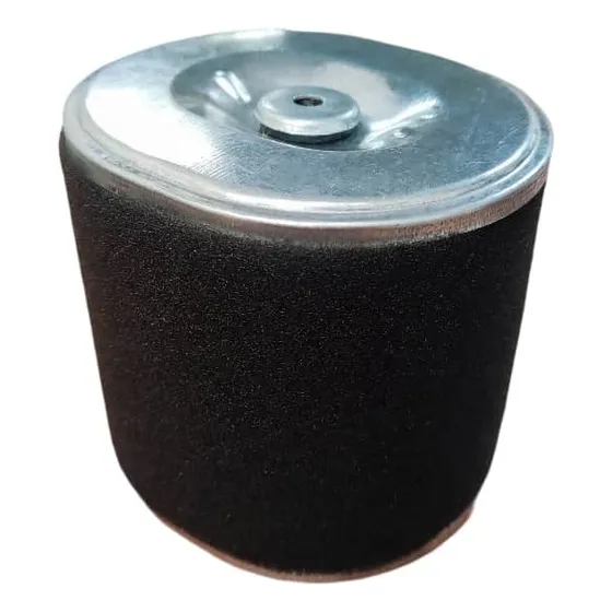 Filtro De Aire Para Motor A Gasolina 13hp