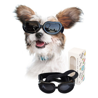 I Lentes De Protección Ocular Para Perros Pequeños I Lentes De Protección Ocular Para Perros Pequeños